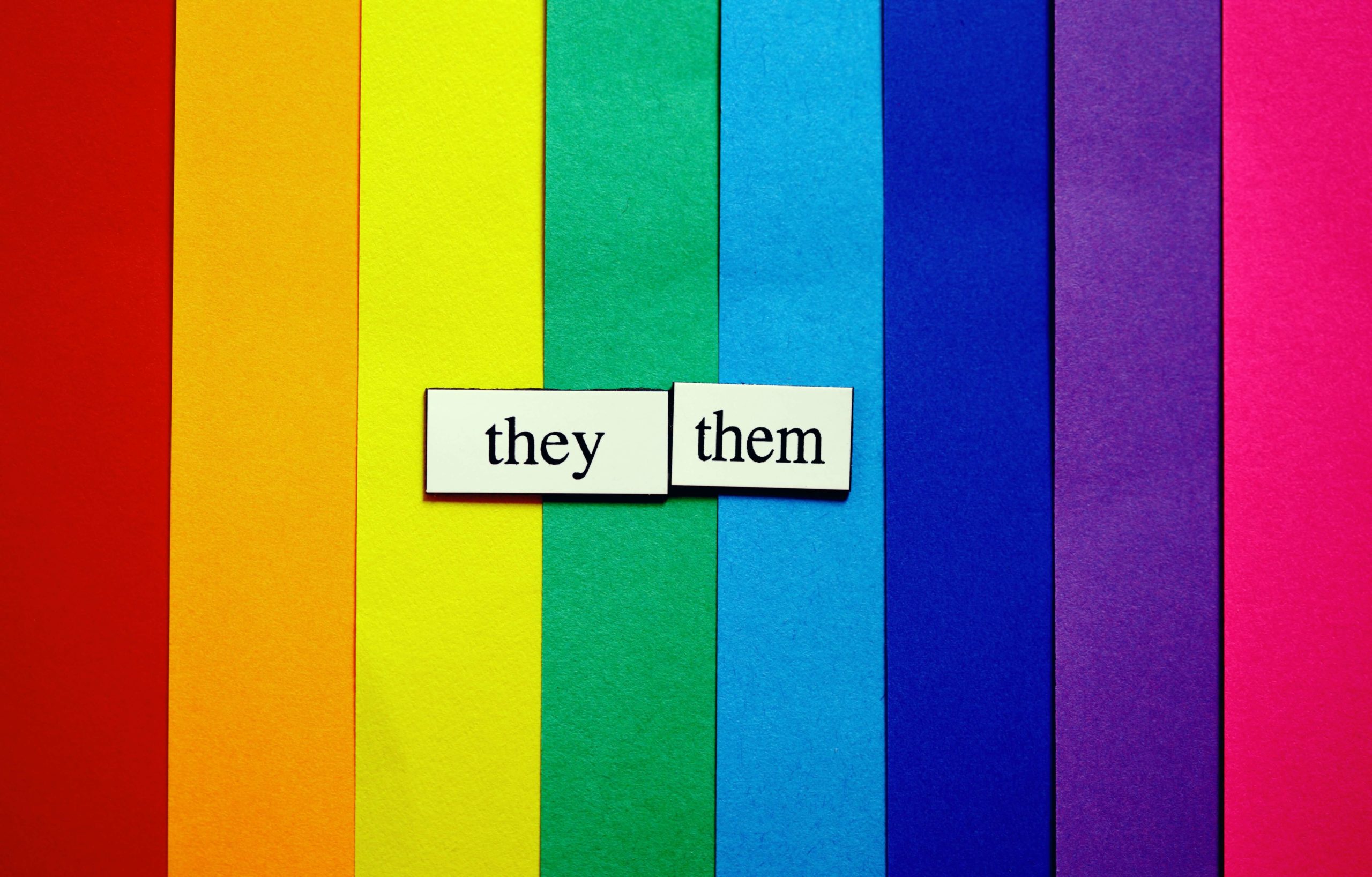 "they, them" magnets in front of a rainbow background
